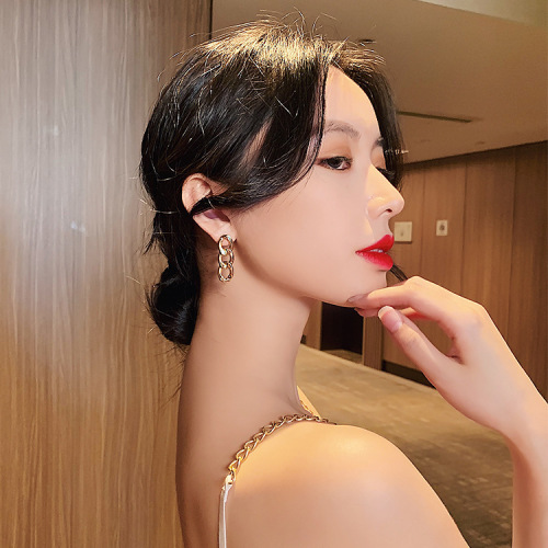 S925 silver needle European and American style chain metal ins cold style new temperament female Internet celebrity earrings B375