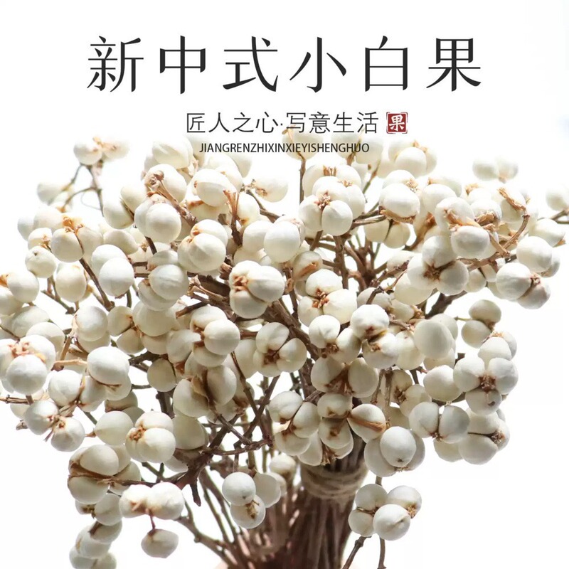 Natural Air-Dried Barley Fruit, Small White Fruit, White Rice Fruit, Floral Materials, Christmas DIY Material Kit, Dried Flowers, Real Flowers