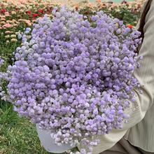 �M���ǻ����͏d�[�O�r���滨�b[�����b�������lՓ�����r�M����