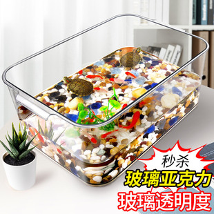 Yellow-Edge Turtle Special Cylinder Transparent Deep Water Goldfish Turtle Salamander Feeding Cylinder Bare Cylinder Plastic Living Room Small Household