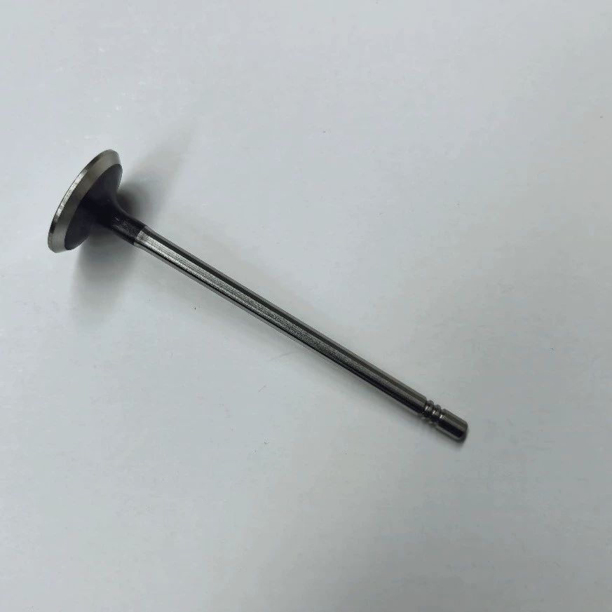 55572668 выпускной клапан LKN1.8