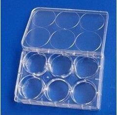 6孔细胞培养板 细菌培养板 菌体培养板 反应板 酶标板