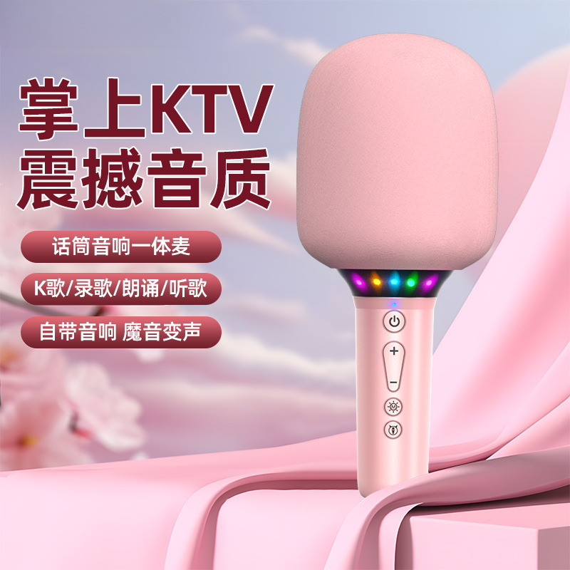 Microphone and Speaker Integrated Wireless Bluetooth Karaoke Tv for Children Singing, Universal Mobile Home Ktv