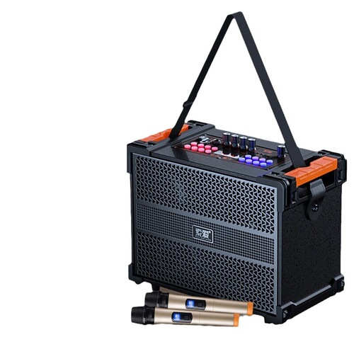 Sony F29 Outdoor Square Dance Speaker with Shoulder Strap, 3-Way Frequency Rod Portable Built-in Sound Card, Live Streaming Popularity