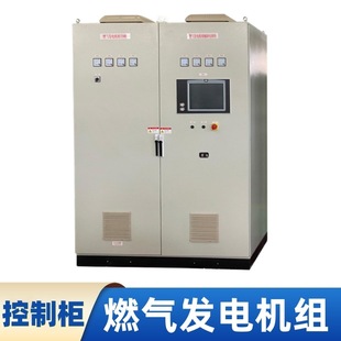 電力電網暖通數據中心大學校商場污水處理精煉廠工業發電機控制櫃