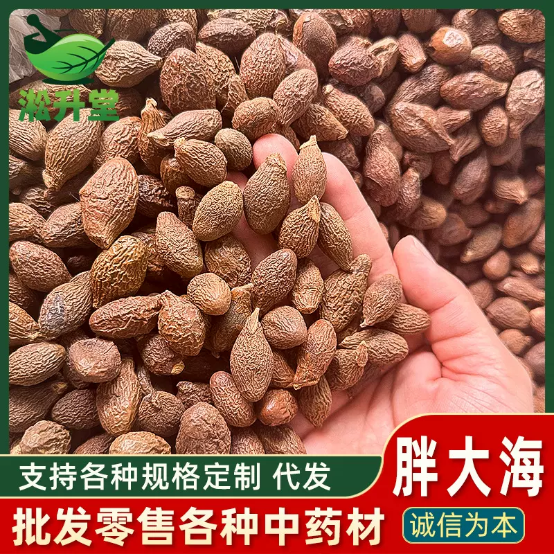 胖大海批发广西新货散装胖大海干果 批发各种花茶批发