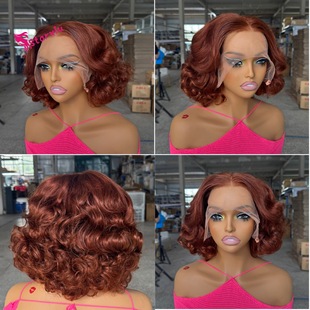 Dd Raw Vietnamese Human Hair Wig Full Frontal Lace Bouncy