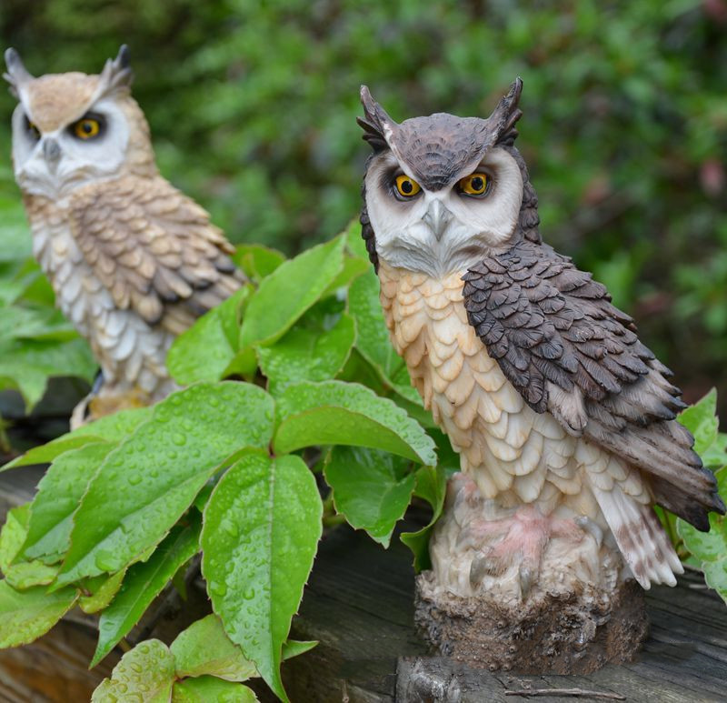 hGyTgvKjy9T/JMfycqcYivWsmdesdJA1wvIy