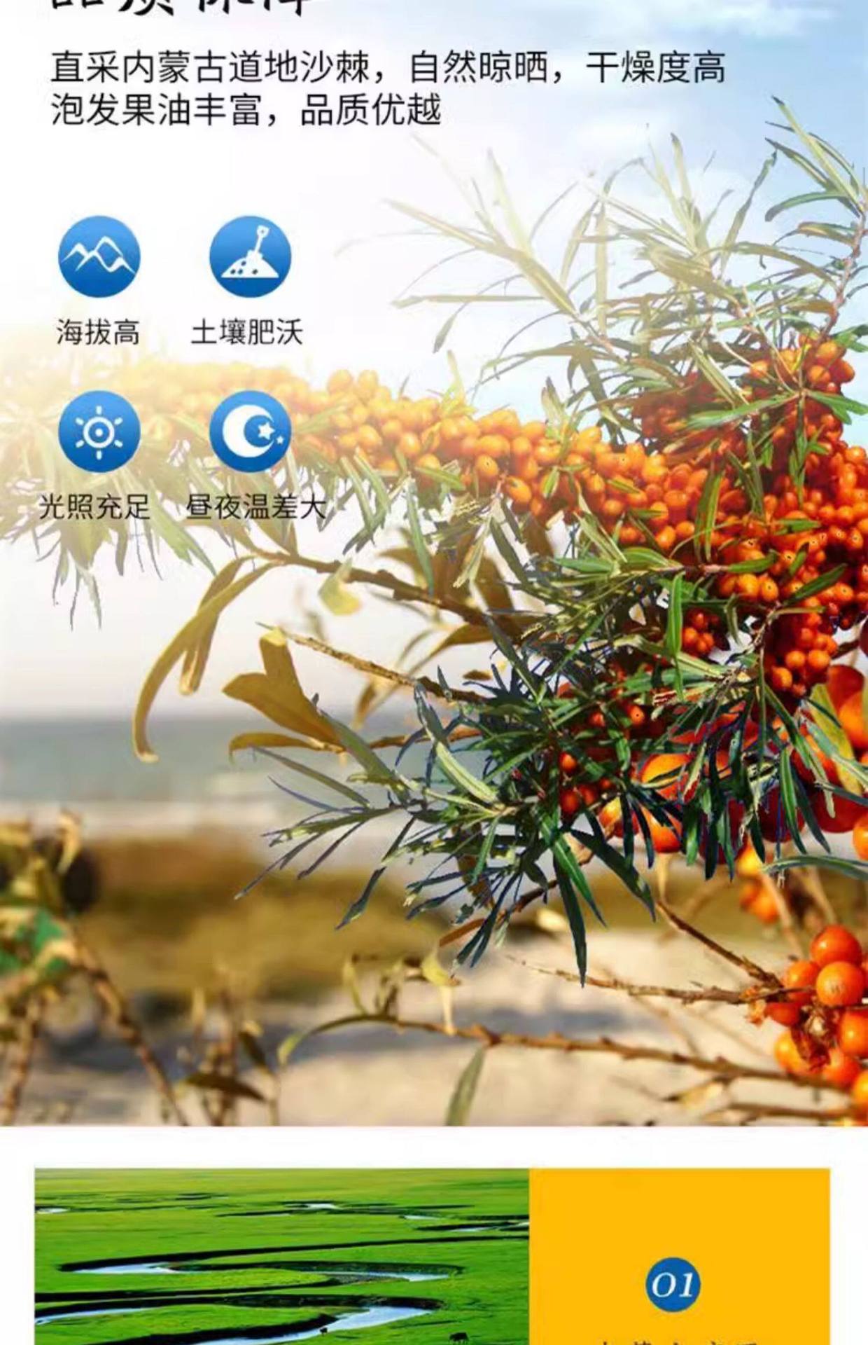 Sea Buckthorn Fruit Sha Ji 沙棘 Dried Berries Herbal Tea Granules 1000g key features