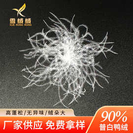 服装标准90水洗普白鸭绒新国标高蓬松大朵绒90羽绒被羽绒服装原料