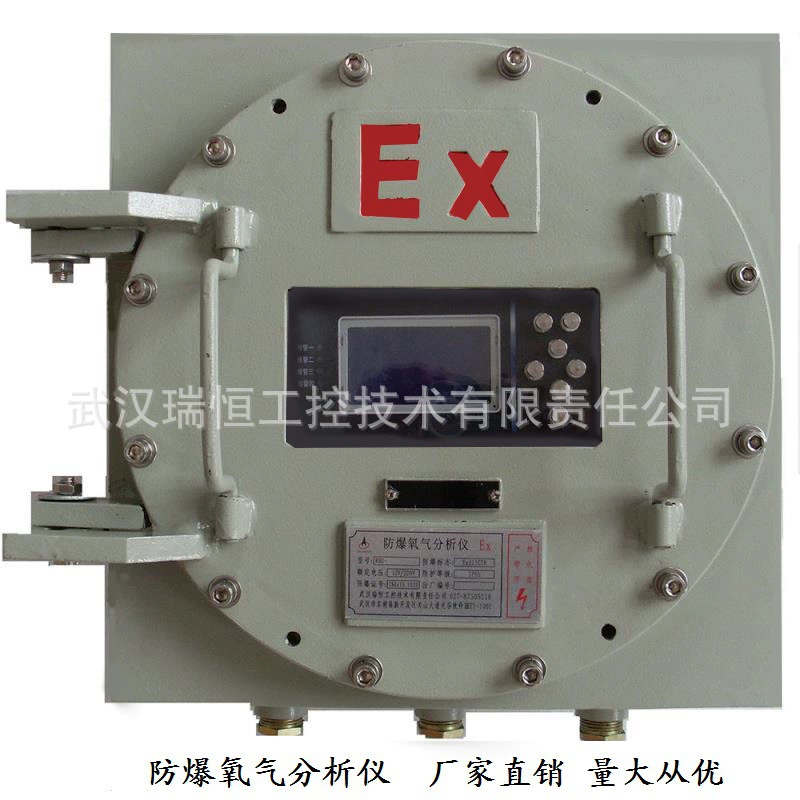 Производитель взрывозащищенных кислородных анализаторов RHO-303/датчик циркония, испытательная печь для обнаружения газа O2