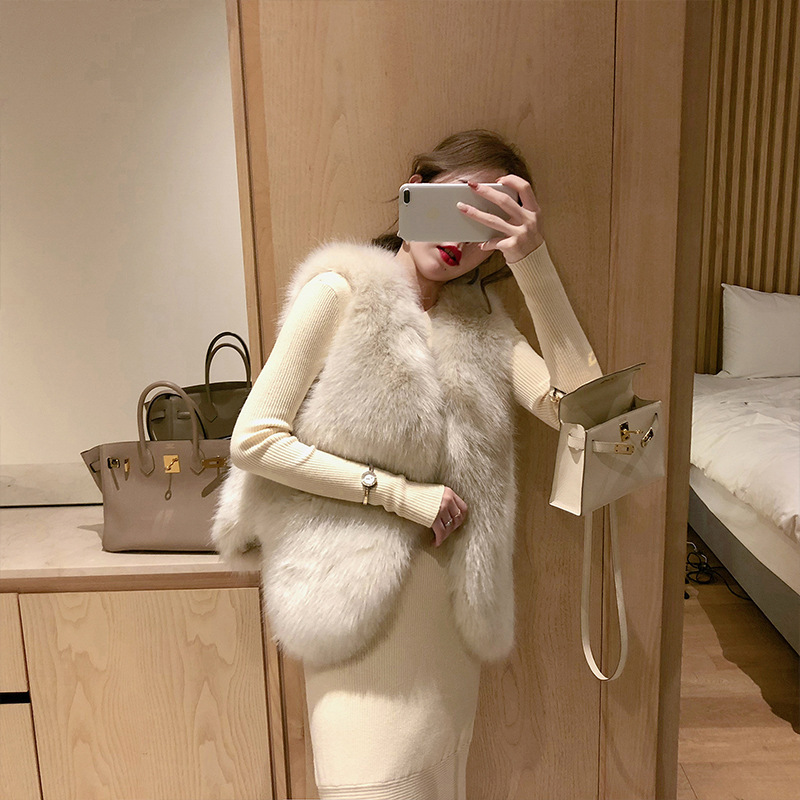 Haining Fur Vest Women's 2022 New Autumn and Winter Korean Style Mink Fur Coat One-piece Faux Fox Fur Vest