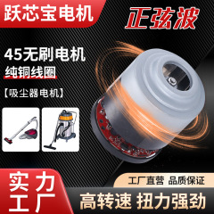 45 マイクロモーターブラシレス DC 掃除機モーター電動工具大トルクエアポンプモーター工場卸売
