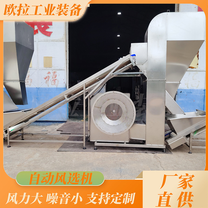 不锈钢辣椒风选机器 速冻毛豆风选清洗线  大枣风选清洗风干线