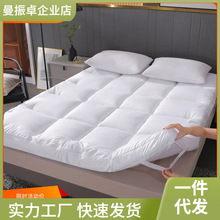 五酒店床垫软垫防螨床褥子家用加厚垫褥10cm榻榻米软垫蔄