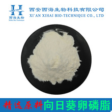 向日葵卵磷脂98% 食品原料葵花籽提取物现货量大价优葵花卵磷脂