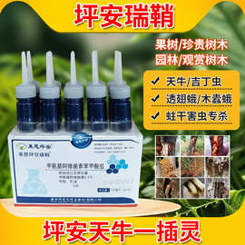 坪安瑞鞘天牛一插灵蛀虫枫柳树钻心虫天牛幼虫柑橘果树蛤虫杀虫剂