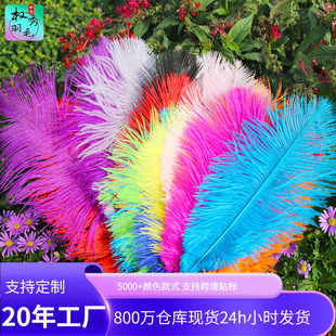 �S�ҹ���20-25cm�r�B��ë��ɫ��ë �Ҿ��b廨��c�r�B��ë
