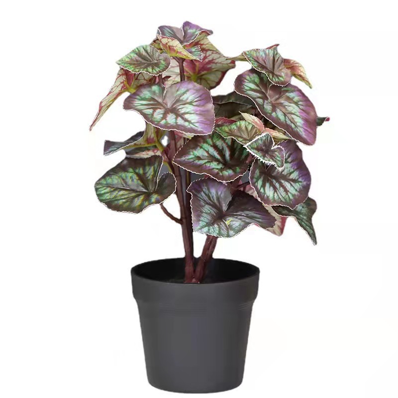 O1CN013hX3kE1watr4F43bq_!!2212