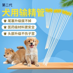 Dogs Dogs Pet Dogs Mated Dogs Artificial Veterinary Conception Tools Dogs Disposable Das
