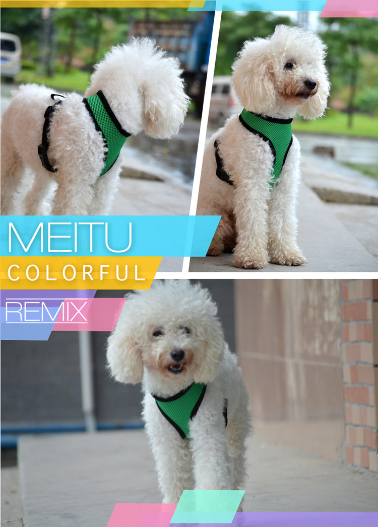 O1CN017YAynQ1hfjj8ruCve_!!2211