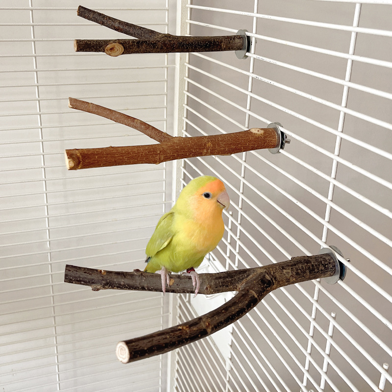 Parrot Toy Log Tree Branch Bird Standing Pole Natural Fruit Tree Fork Standing Frame Claw Grinding Perch Wood Cross-Border