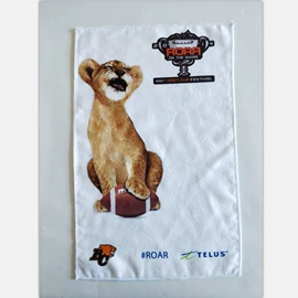 浴巾、沙滩巾;茶巾;抹布、百洁布