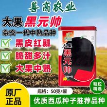 ƸߴԪƤtȿϷNӴ߮aһsƷN