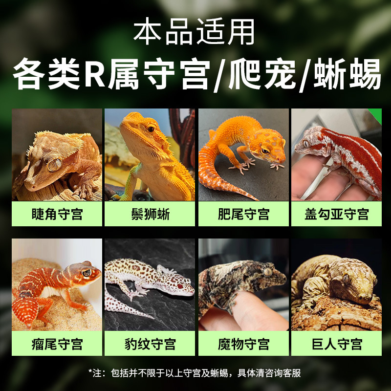 トカゲ、爬虫類、ペットフルーツパウダー、ヤモリ、昆虫泥、リウムドラゴン、トカゲフルーツ泥パウダー、栄養フルーツパウダー、ヒョウブルータングフード、配送|undefined