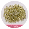DS06