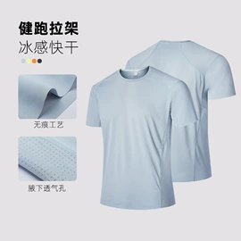 运动T恤;男式休闲裤;男式T恤