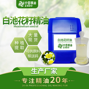 �䉺��ե �׳ػ����� ��â������ �x���������A�ͷ������ṩ����1