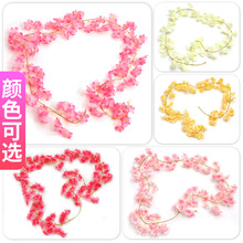 ����ѻ��ٗl���ϼٻ��p�@���{�ܵ��҃ȵ���b����������������