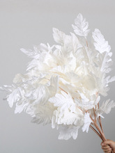 ��c��ɫϵ����Y�ð׾Gɫ���ò廨��ˇ������ĵ���������b�