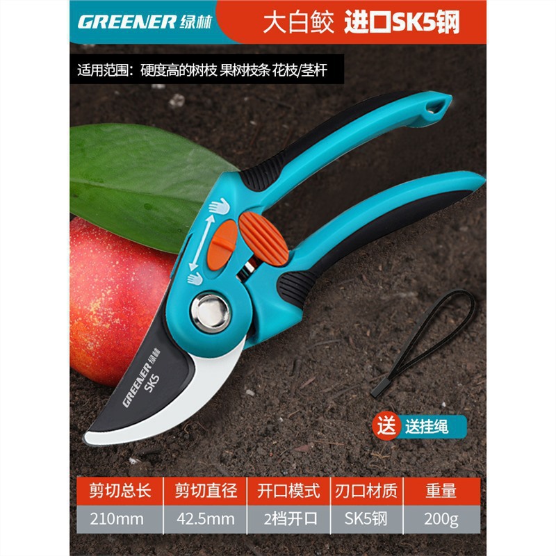 Tijeras florales Artesanía alemana Ramas de frutas Tijeras de ramas Cuchillos Tijeras de poda Bosque verde Jardinería Poda importada Envío gratis