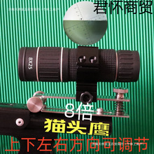 8ʮֆͲhR߱{؈^^B^׼10