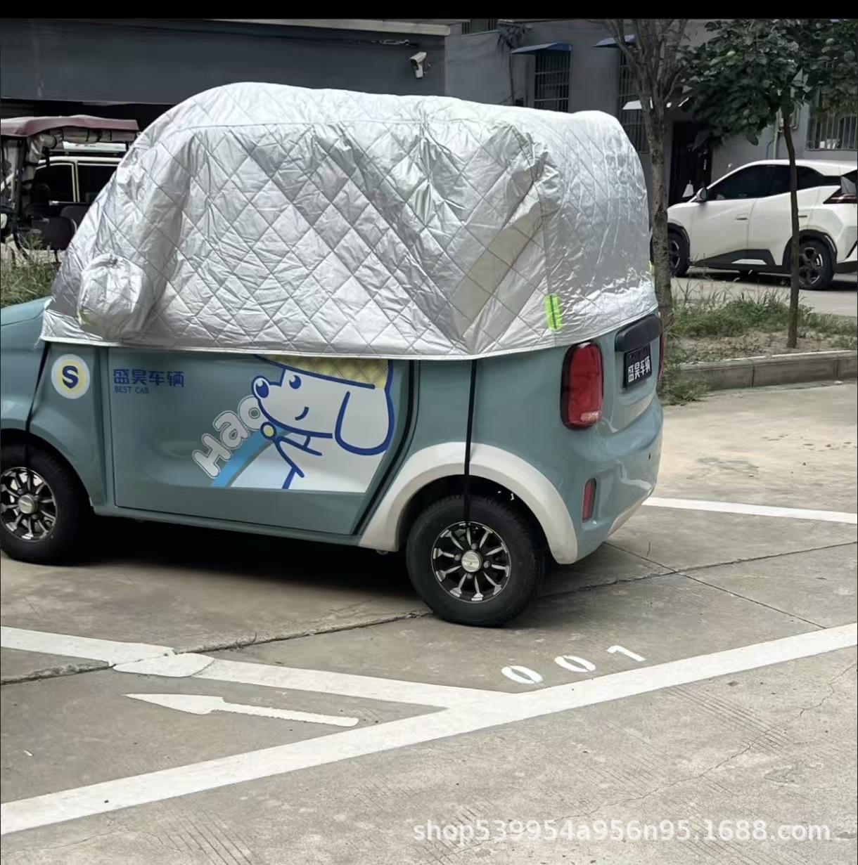 cubierta de vehículo de pedestres de edad avanzada cubierta de vehículo eléctrico de cuatro ruedas cubierta de cubierta anticongelante cubierta de cubierta de cubierta