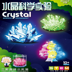 兒童科教DIY水晶種植試驗套裝生長晶體培養玩具化學實驗原理套裝