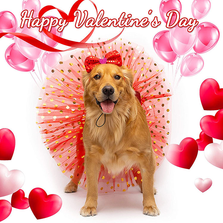 微信图片_20211129130548