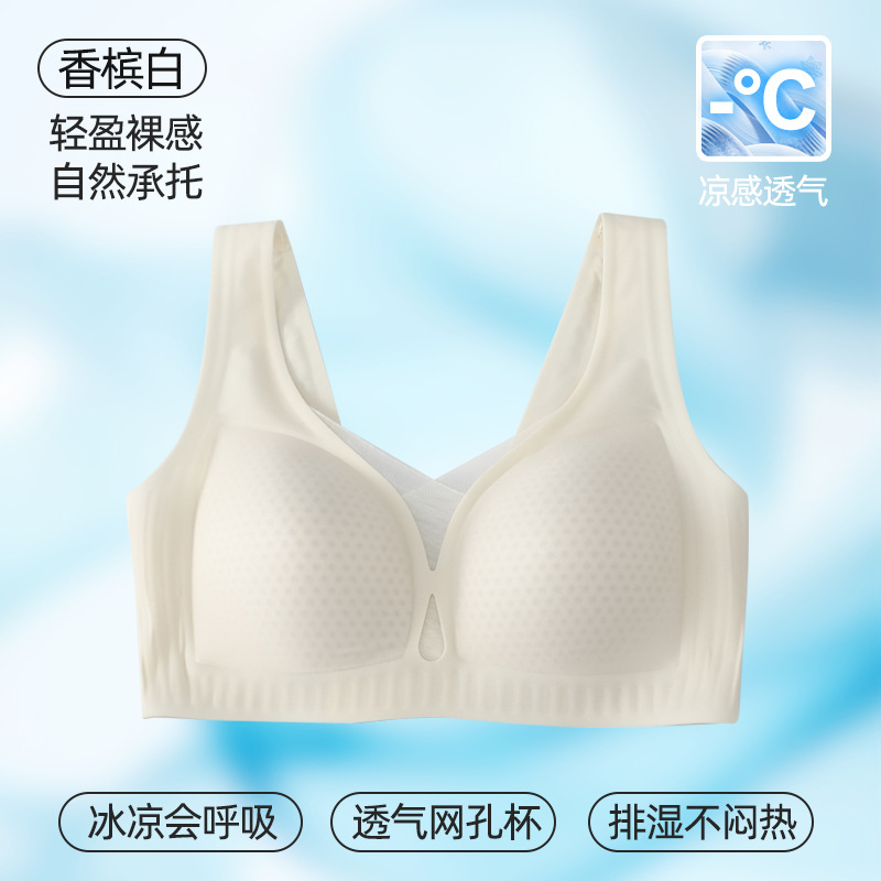 샴페인 화이트