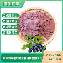 工厂供应蓝莓粉 固体饮料原料蓝莓汁粉 蓝莓果粉现货 100g/袋现货