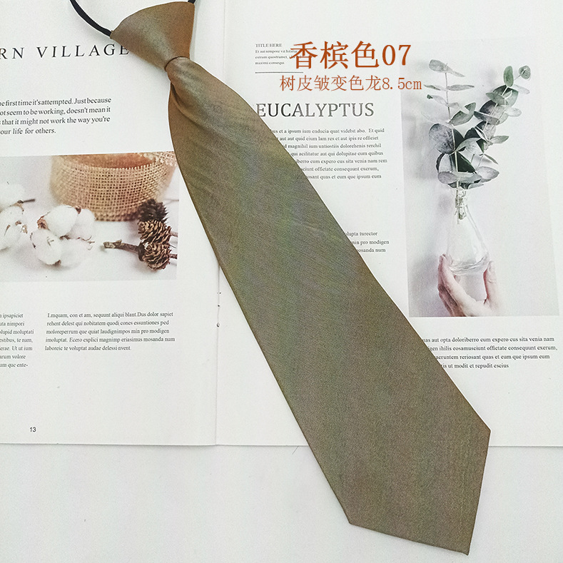 Los fabricantes venden al por mayor corbata con cremallera para mujer, fácil de tirar, sin estilo, moda de negocios profesional, corbata casual de color sólido para mujer