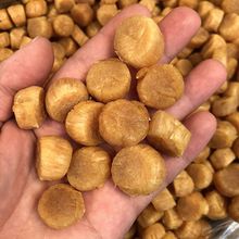 大连淡晒元贝150头瑶柱孕妇煮粥煲汤干贝扇贝300头干货淡干200头