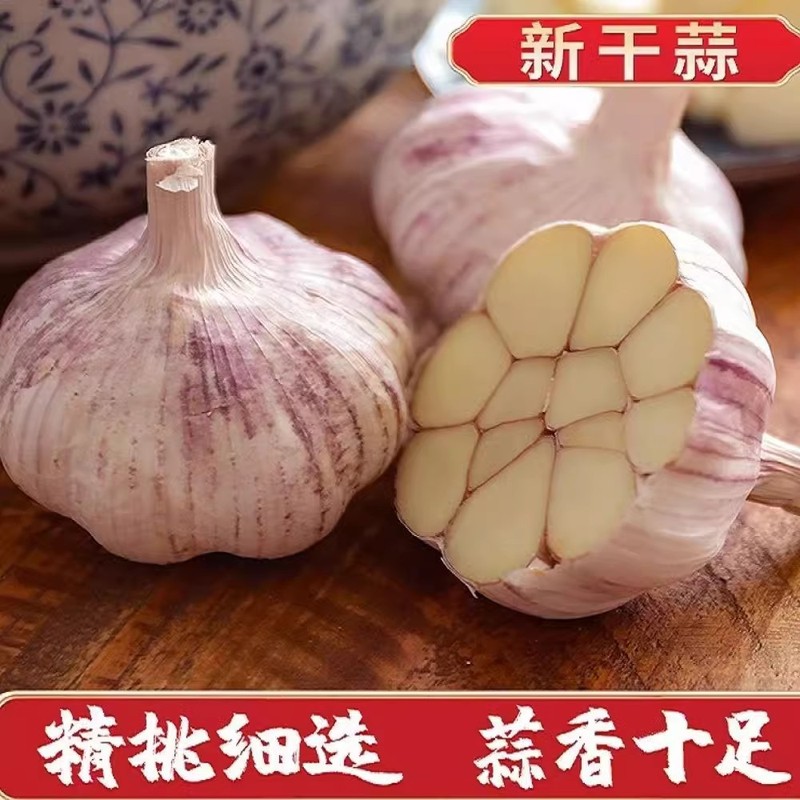 山东新干蒜紫皮大蒜头批发价新鲜红皮优质大蒜子农家自种包邮|undefined