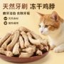 冻干洁齿宠物幼猫宠物