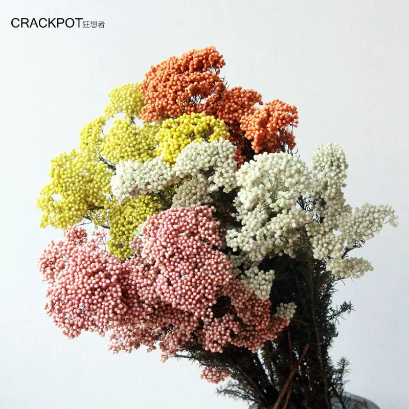 狂想者永生花diy材料包米花6色保鲜花真花束家居装饰插花拍摄批发