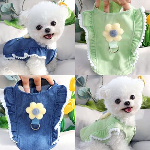 ���wС�����ﹷ���·��ɠ�������̩�ϲ���С����Ȯ�s�����R����˹