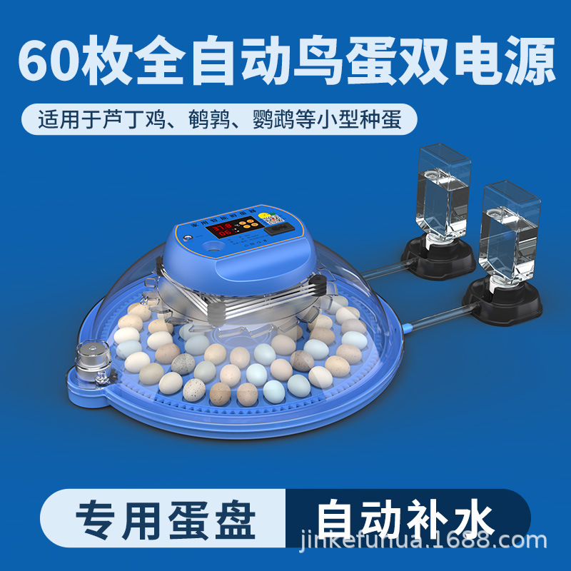 작은 알 60개 [이중 전기]