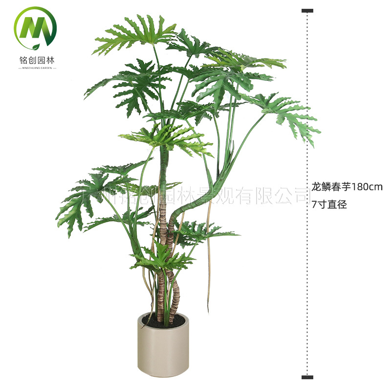 Simulación de interior Planta verde Simulación de plantación de disco Escala de dragón Taro de primavera Sala de estar Balcón Simulación Planta verde falsa Oficina Bonsai