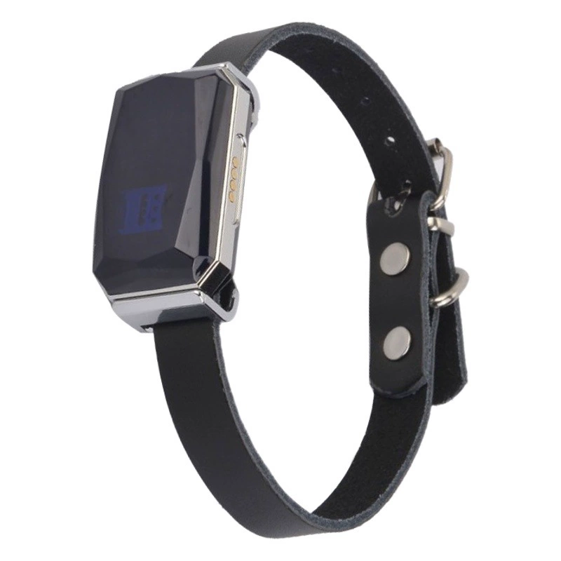 G12 локатор ошейник для домашних животных, кошек, собак, анти-потерянный водонепроницаемый ошейник для домашних животных GPS